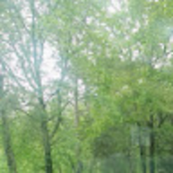 Meet your Posher, - - Picture 1 of 1